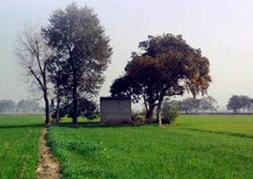 पंजाबियों पर फिर टूटा संकट, जल्द राहत की उम्मीद नहीं