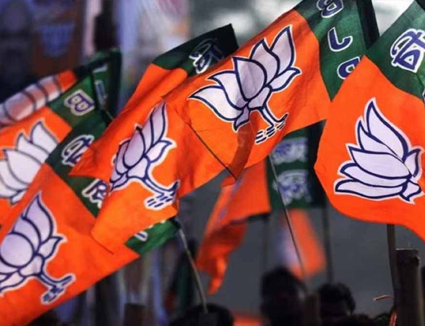 एमपी निकाय उपचुनाव में भाजपा का जलवा, छह सीटों पर दर्ज की जीत