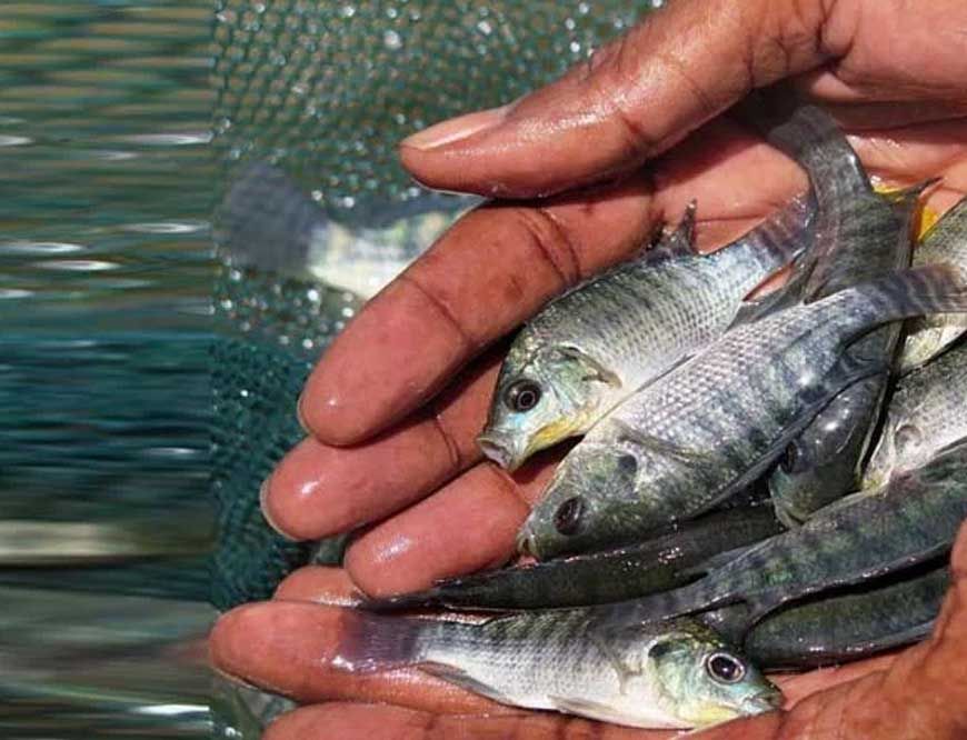 समर्पण, समानता और सेवा का सनातन प्रतीक हैं निषादराज