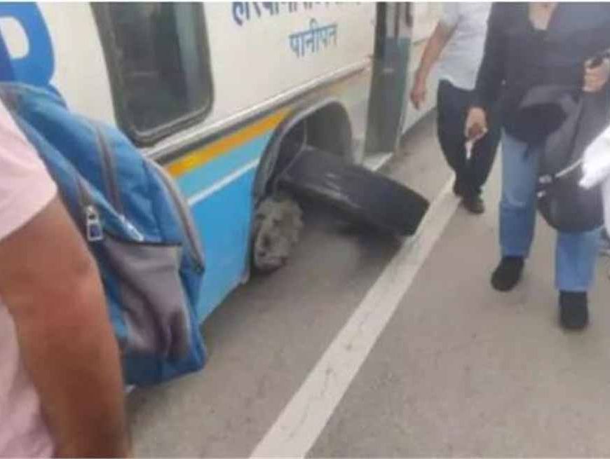 फतेहाबाद जिले में टला बड़ा हादसा, रोडवेज बस का टायर फटा, ड्राइवर की सूझबूझ से 80 यात्रियों की जान बची