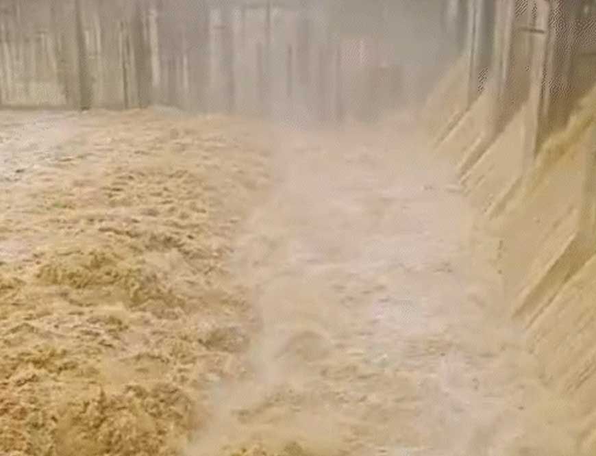 मूसलधार बारिश से बढ़ा जलस्तर: रनगुवां और कुटनी डैम के गेट खुले, कई जिलों में स्कूल बंद