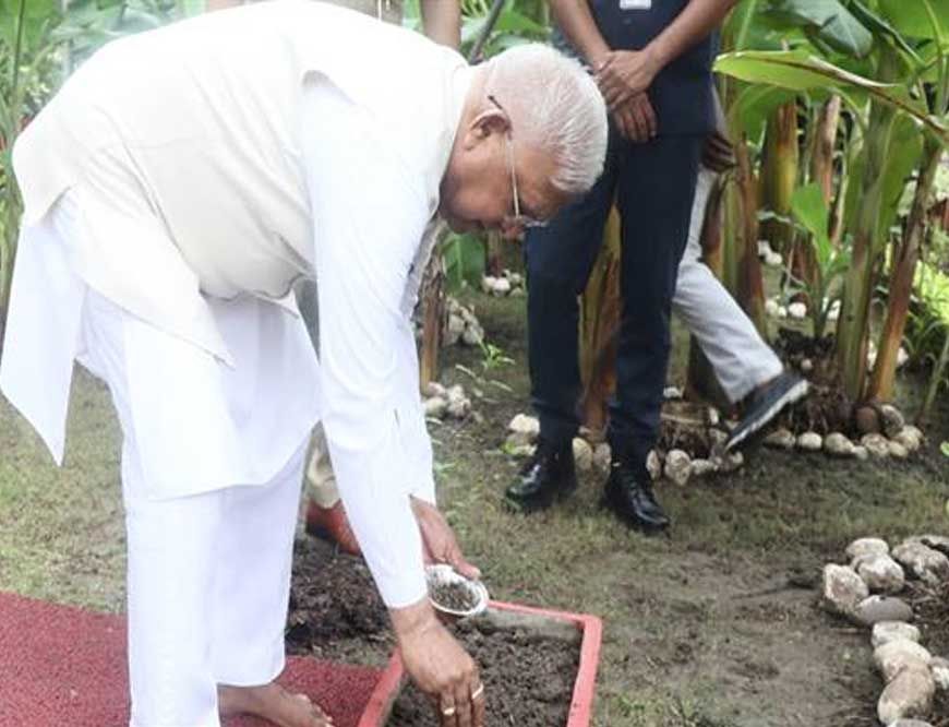 राज्यपाल पटेल ने राजभवन में रोपा तुलसी का पौधा