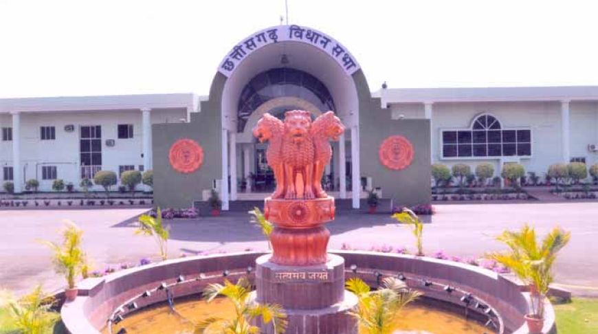 हसदेव अरण्य में पेड़ कटाई पर गरमाई सियासत, कांग्रेस ने विधानसभा में उठाया मुद्दा