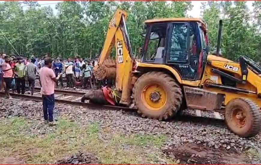 पश्चिम बंगाल में दर्दनाक हादसा: ट्रेन से टकराकर तीन हाथियों की मौत, वन विभाग की लापरवाही पर उठे सवाल