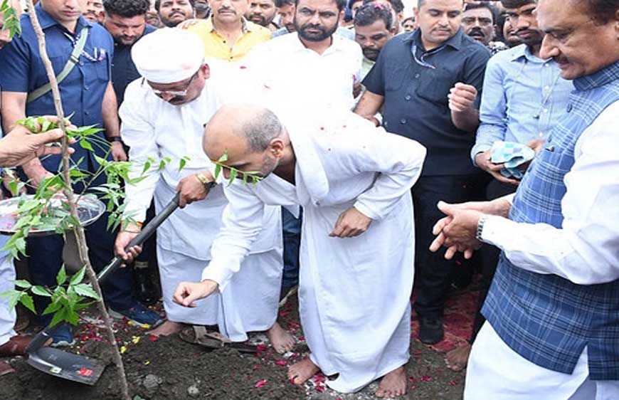 सागर : खुरई में 'एक पेड़ मां के नाम' अभियान के अंतर्गत एक ही दिन में 61,700 से अधिक पौधे रोपे गए