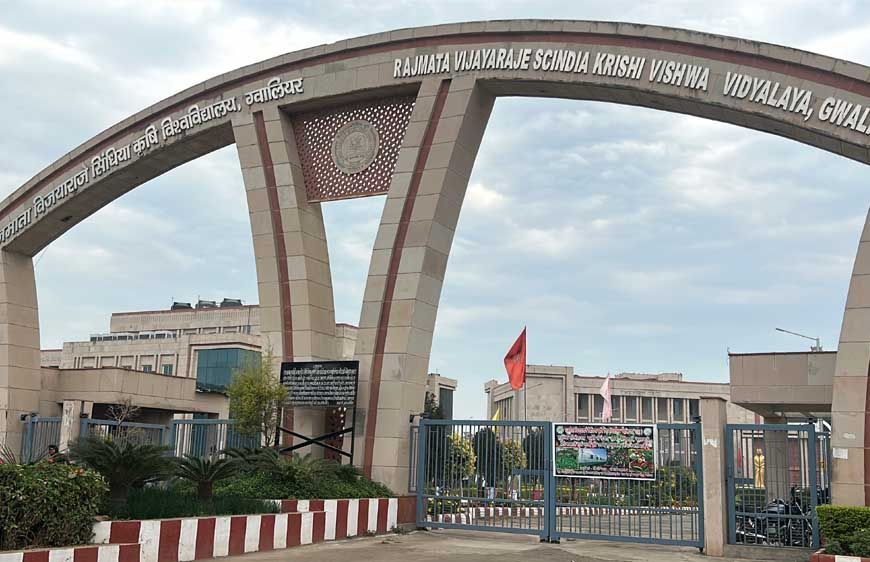 ग्वालियर : विजयाराजे सिंधिया कृषि विश्वविद्यालय बना ऑयल सीड हब, किसानों को मिलेगा खुद बीज उगाने का मौका