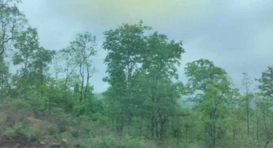 मध्य प्रदेश में दो-तीन दिन नहीं बरसेगा पानी, मौसम रहेगा शांत