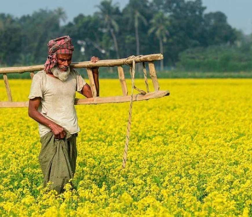 PM किसान: 20वीं किस्त पर कृषि मंत्रालय का बड़ा अपडेट, जानें कब आएगा पैसा