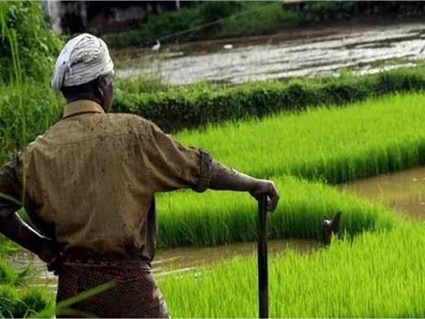 पंजाब सरकार का ऐतिहासिक फैसला: अब कब्जा लेने के दिन से ही किसानों को मिलेगा मालिकाना हक