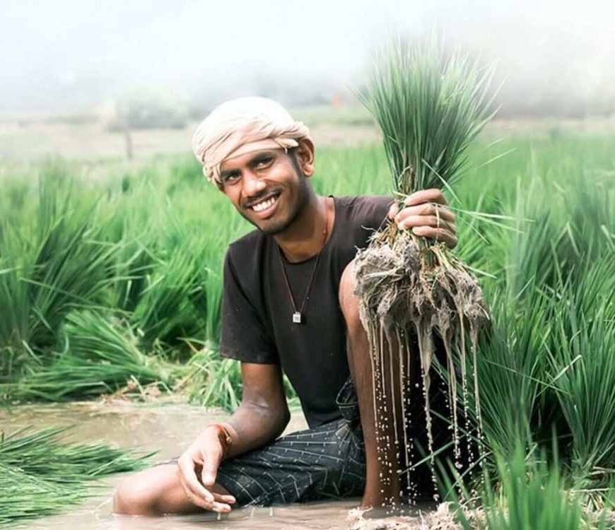 31 जुलाई आखिरी मौका: खरीफ फसलों का बीमा नहीं कराया तो होगा भारी नुकसान