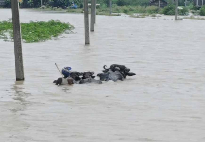 गंगा में बढ़ा जलस्तर, गनियारी टोला में बाढ़ का खतरा, गांव छोड़ने को मजबूर ग्रामीण