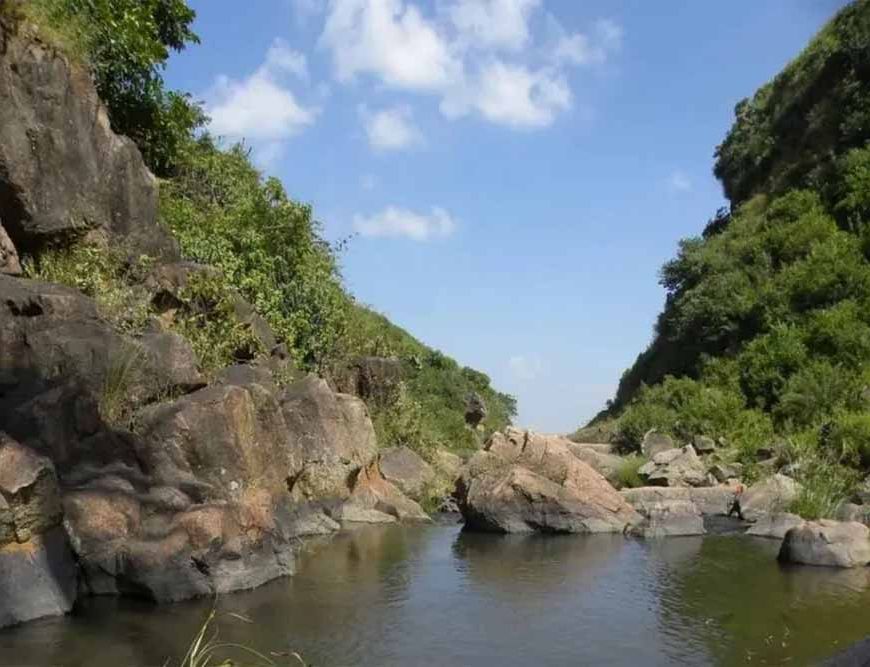 सालगांव बांध को मिली हरी झंडी: वन विभाग ने जारी किया एनओसी