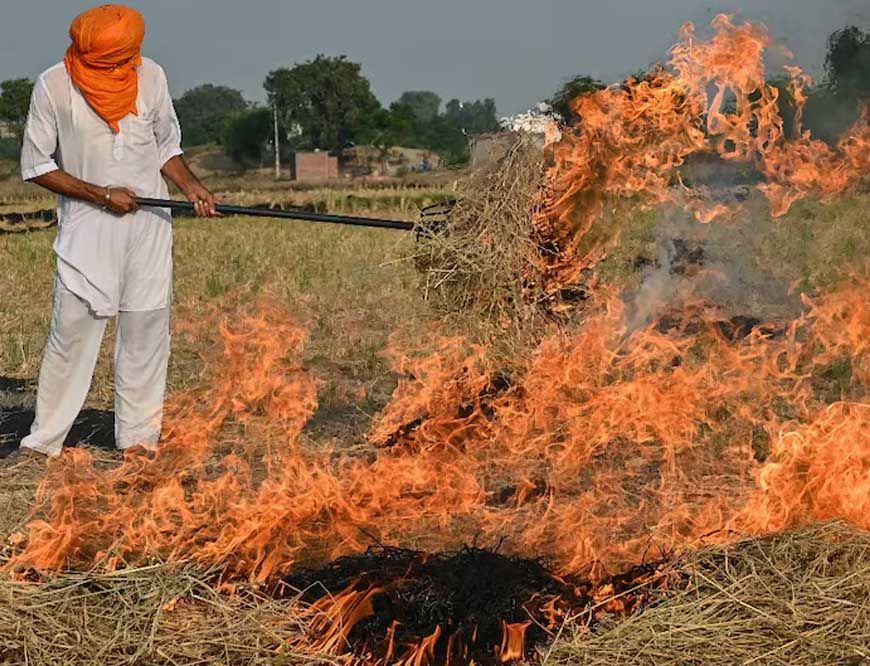 पराली जलाने पर अब भारी जुर्माना, पंजाब सरकार ने जारी की नई गाइडलाइन