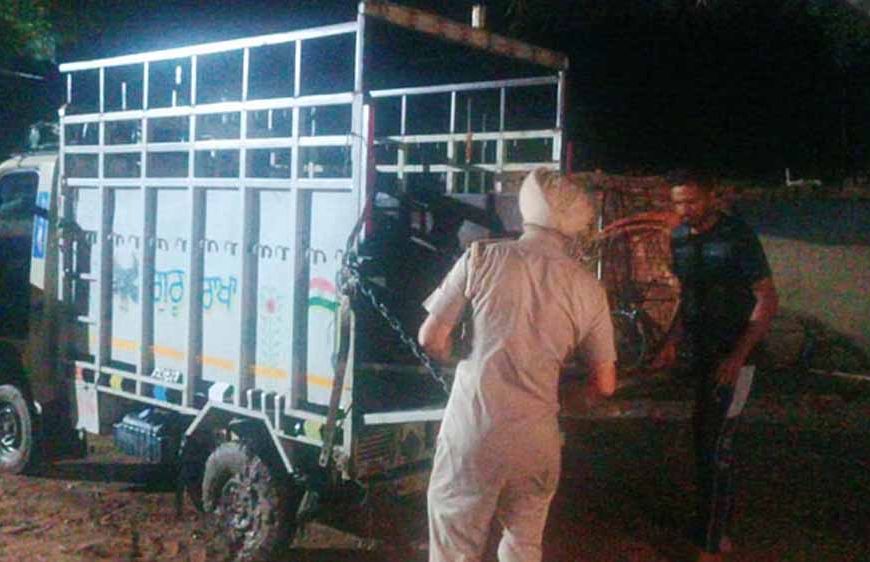 नैना देवी से लौटते समय दर्दनाक हादसा: श्रद्धालुओं की पिकअप नहर में गिरी, 6 की मौत