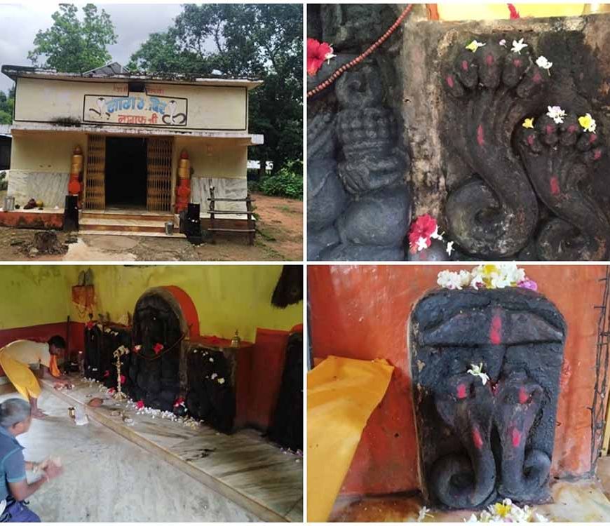 नाग पंचमी पर विशेष: 11वीं शताब्दी का चमत्कारी नाग मंदिर, जहां हर रोग पाता है राहत