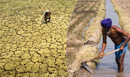 पंजाब में भूजल संकट गहराया, रोपड़ सबसे प्रभावित; 19 जिले खतरे की जद में