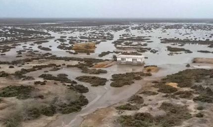 सिंधु डेल्टा का जल संकट: 80% पानी खत्म, 40 गांव उजड़े, 12 लाख लोग बेघर