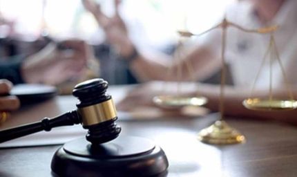 'सेहत से समझौता मंजूर नहीं' - कबूतरखानों पर बॉम्बे हाईकोर्ट की कड़ी टिप्पणी