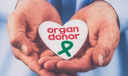 अब मेडिकल कॉलेजों में भी संभव होगा ब्रेन-डेड मरीजों से अंगदान, महिलाओं को मिलेगी वेटिंग लिस्ट में प्राथमिकता