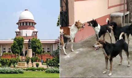 आवारा कुत्तों पर सुप्रीम कोर्ट का सख्त रुख, अड़ंगा डालने वालों पर भी होगी कार्रवाई