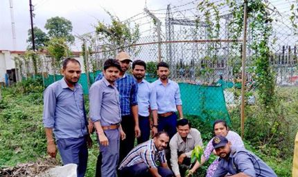 औषधि वाटिका विकास के लिए एम.पी. ट्रांसको में पौधारोपण