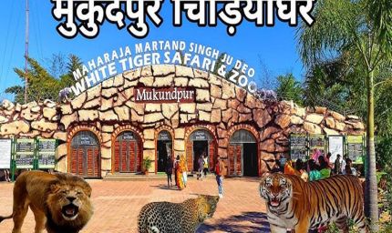 मुकुंदपुर टाइगर रिजर्व को रीवा में शामिल करने पर MP में सियासी हलचल