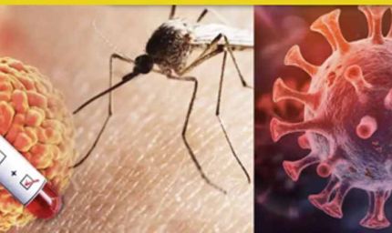 एमपी में खतरनाक वायरस की वापसी, डिंडोरी में बच्चे की मौत से मचा हड़कंप