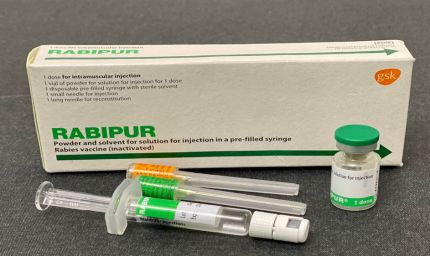 रायपुर : बस्तर संभाग में एंटी रेबीज वैक्सीन की पर्याप्त उपलब्धता