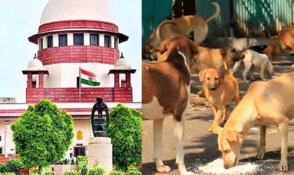 दिल्ली-NCR में कुत्तों से जुड़ा मामला अब CJI की निगरानी में