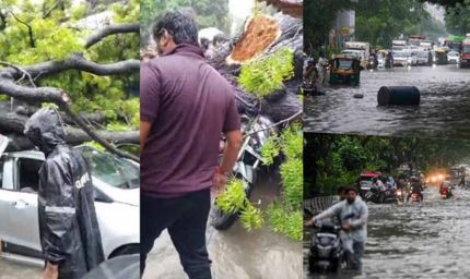 मूसलाधार बारिश से दिल्ली बेहाल: कालकाजी में पेड़ गिरने से मौत, सड़कों पर जलभराव व जाम