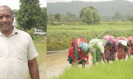 समय पर मिला खाद, खिल उठी उम्मीदें, संतोष की मेहनत में भरेंगे रंग