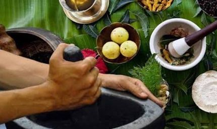 आदिवासी परंपरागत औषधि ‘चिपकू’ पौधा टीबी और मूत्र रोगों में कारगर