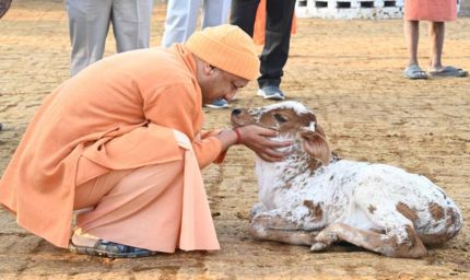 सीएम योगी के नेतृत्व में गो सेवा से तरक्की करेगा यूपी