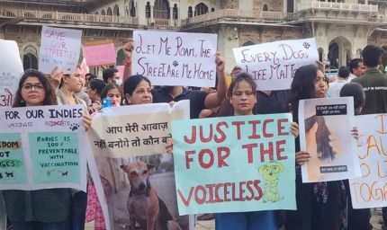 जयपुर में स्ट्रीट डॉग समस्या पर बड़ा आंदोलन, मानवीय व वैज्ञानिक समाधान की उठी मांग