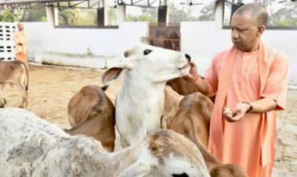 सीएम योगी के नेतृत्व में यूपी में गो सेवा से होगा विकास, पंचगव्य और बायोगैस उत्पादन