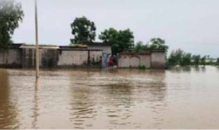 पंजाब में बाढ़ से भारी तबाही, डिप्टी कमिश्नरों को जारी सख्त निर्देश