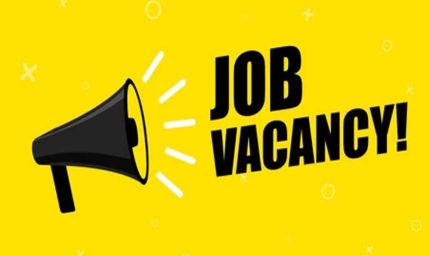 JOB ALART : बिहार एसएससी से बड़ी खुशखबरी! इस साल 12,543 पदों पर होगी बहाली, युवाओं को मिलेगा रोजगार