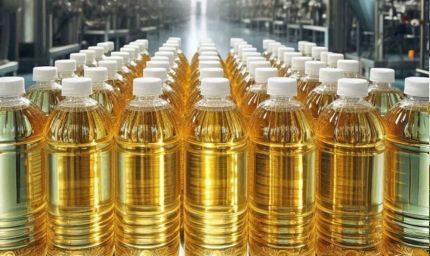 हरियाणा सरकार का बड़ा कदम: ‘राज्य तिलहन मिशन’ से बढ़ेगी किसानों की कमाई, घटेगी तेल आयात पर निर्भरता