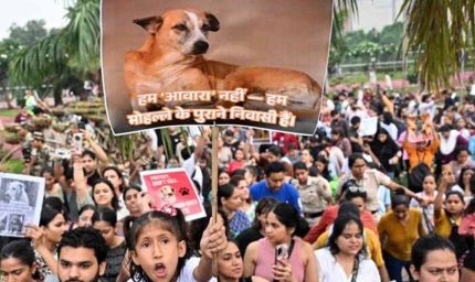 लावारिस कुत्तों पर SC के फैसले से खुश राहुल गांधी, बताए 2 बड़े फायदे