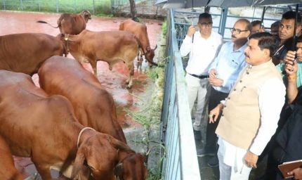 पशुपालन से किसानों की बढ़ेगी आय,बनेंगे आत्मनिर्भर:मुख्यमंत्री डॉ. मोहन यादव