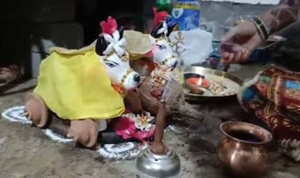 प्रदेश में धूमधाम से मनाया जा रहा पोला तिहार, बैलों की सजावट ने बढ़ाई रौनक