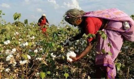 हरियाणा के किसानों की खुशखबरी, सरकार दे रही हजारों रुपये की सब्सिडी