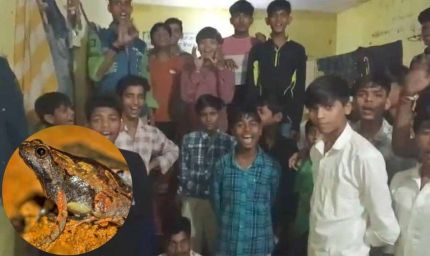 एमपी के आदिवासी हॉस्टल में लापरवाही! खाने की सब्जी में निकला मरा मेंढक