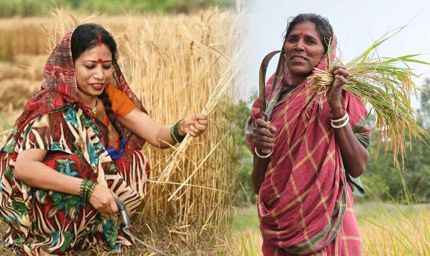 मध्य प्रदेश में समर्थन मूल्य पर अनाज खरीदी को आसान बनाने के लिए गोडाउन को मिले खरीदी केंद्रों की प्राथमिकता