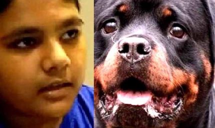 कुत्तों के हमले से डरा मासूम बोला – 'जब तक कुत्ते पकड़े नहीं जाते, स्कूल नहीं जाऊंगा'