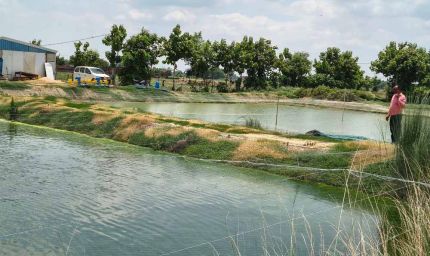 मछली पालकों को सरकार दे रही है आर्थिक सहायता, जल्द से जल्द करें आवेदन