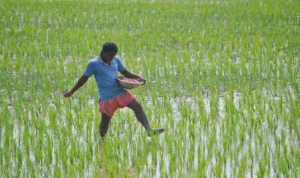 कृषि क्षेत्र को नया आयाम दे रही योगी सरकार