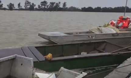 पंजाब में 7 जिले बाढ़ से प्रभावित, 30 अगस्त तक स्कूल बंद, NDRF और आर्मी रेस्क्यू में