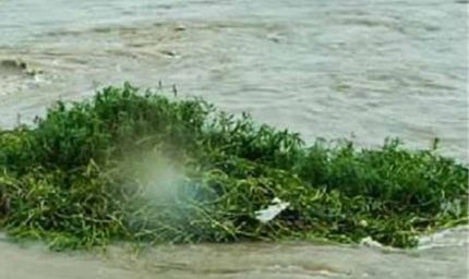 बाढ़ प्रबंधन को लेकर डीएमओ व स्कूल प्रमुखों के लिए जारी हुए खास निर्देश