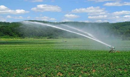 जल-जीवन-हरियाली अभियान से बिहार के 2,41,782 हेक्टेयर खेतों तक पहुंचा सिंचाई का पानी